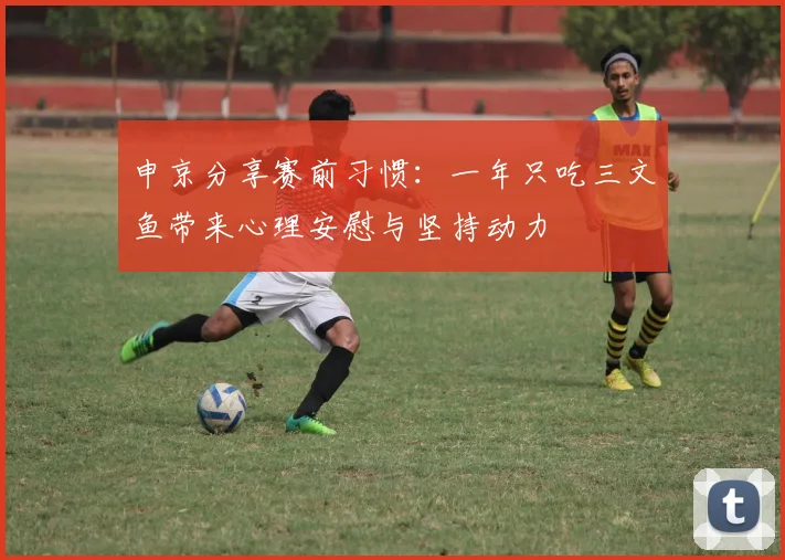申京分享赛前习惯：一年只吃三文鱼带来心理安慰与坚持动力
